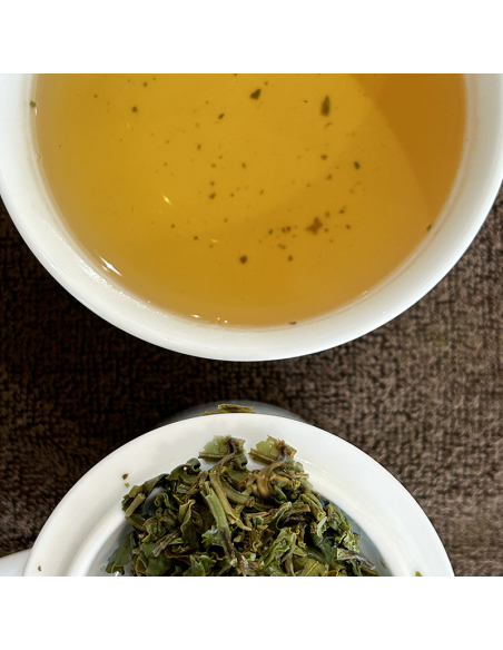 OKAYTI DJ'12 FIRST FLUSH DARJEELING 2024 ORGANIC CERTIFIED