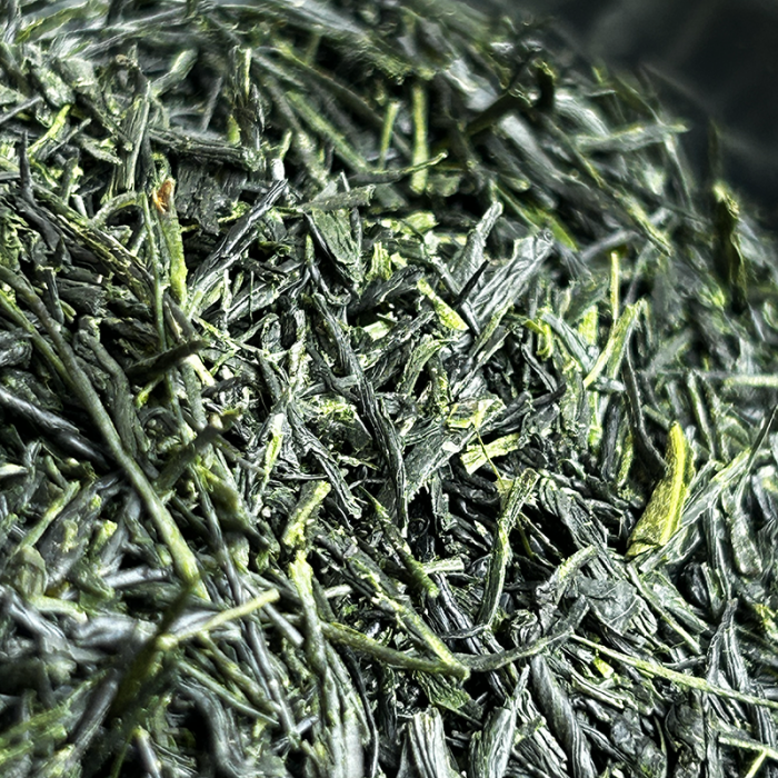 GYOKURO TOHEI 2024