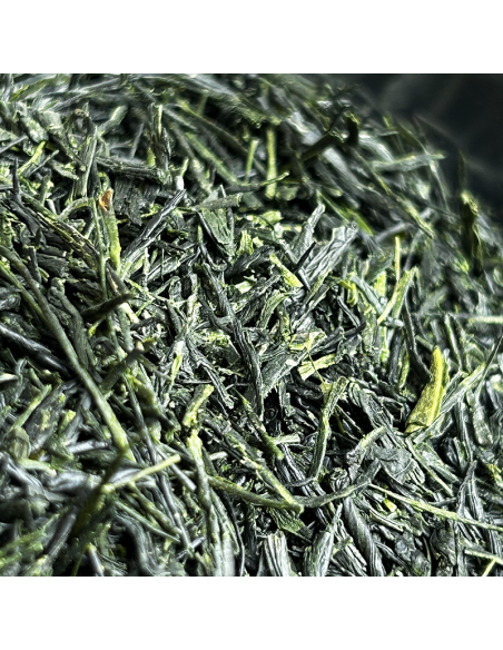 GYOKURO TOHEI 2024