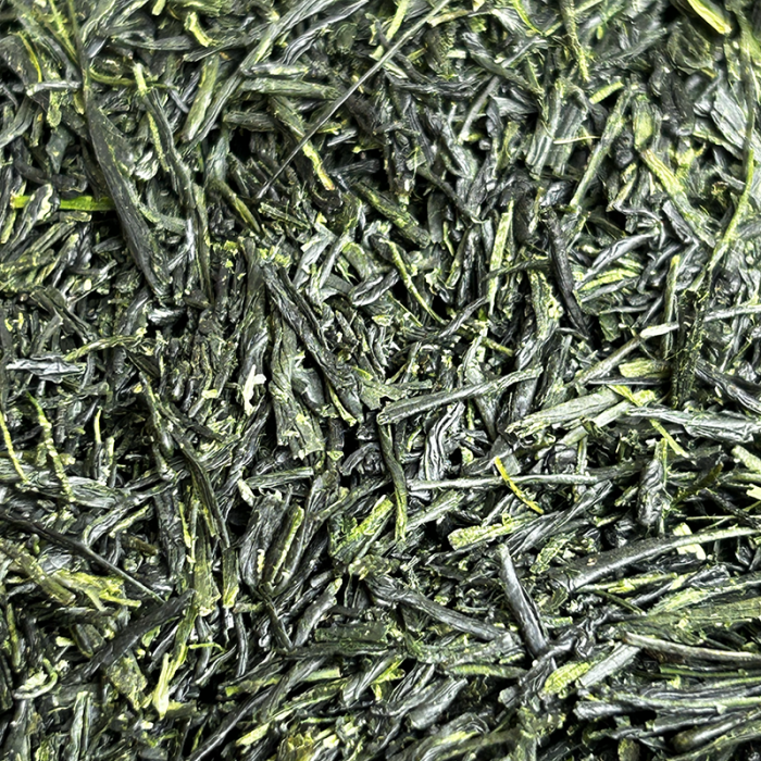 GYOKURO TOHEI 2024