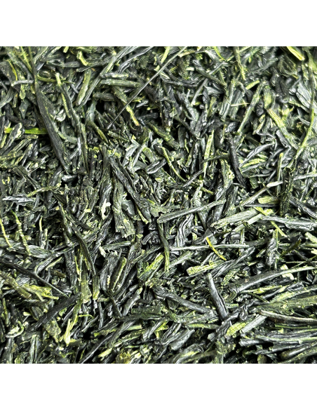 GYOKURO TOHEI 2024