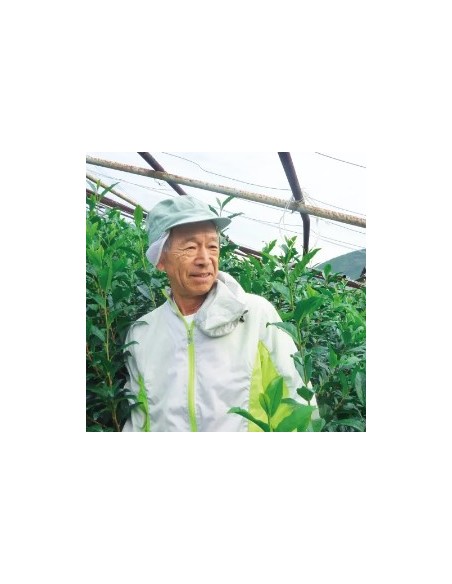 GYOKURO TOHEI 2024