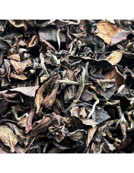 DONGFANG MEIREN - ORIENTAL BEAUTY