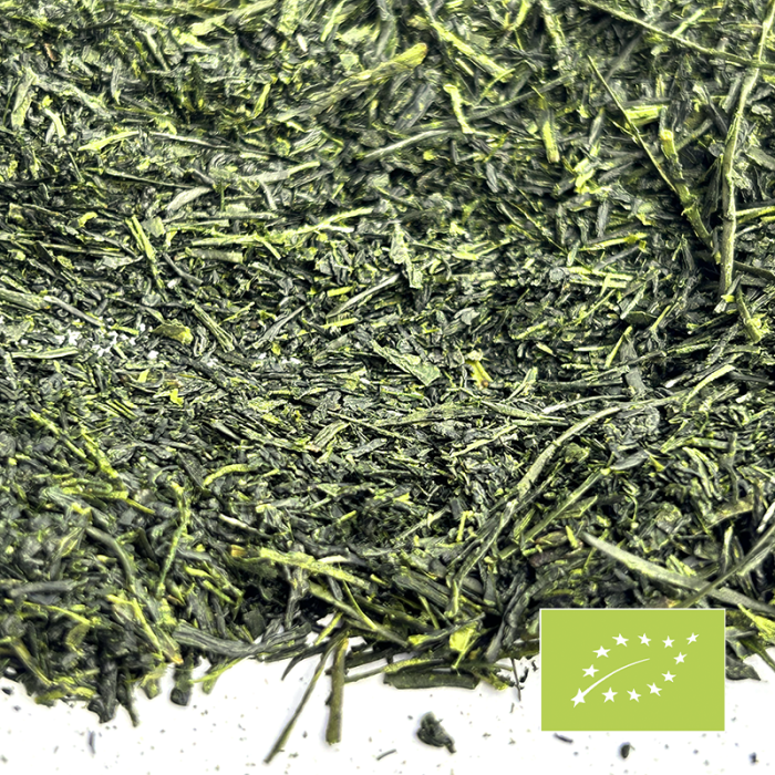 SENCHA YABUKITA CERTIFIÉ BIO 2024