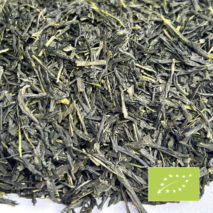 SENCHA ZAIRAI CERTIFIÉ BIO 2024