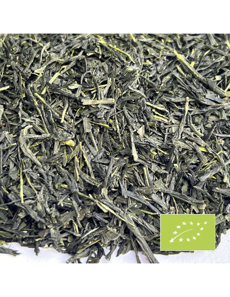 SENCHA ZAIRAI ORGANIC CERTIFIED 2025