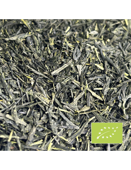SENCHA YABUKITA 2026 ORGANIC CERTIFIED