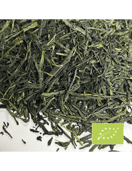 KABUSECHA ASATSUYU/YABUKITA ORGANIC CERTIFIED 2025