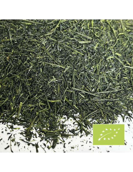 FUKAMUSHI YABUKITA CERTIFIÉ BIO