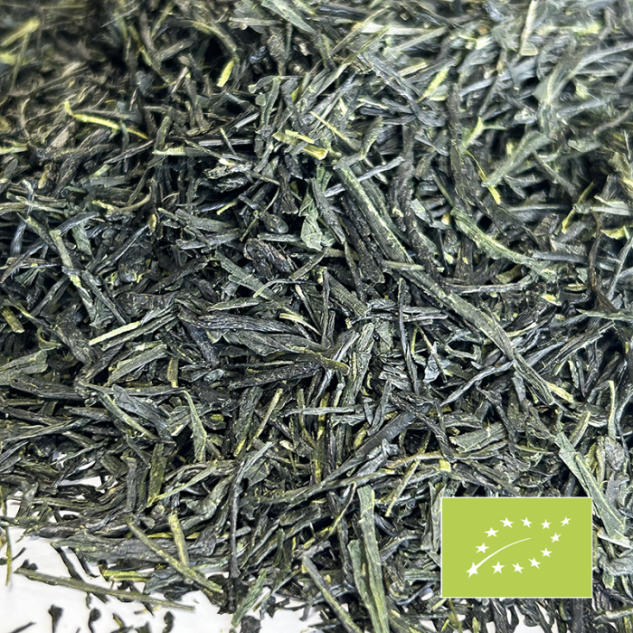 SENCHA TSUYUHIKARI CERTIFIÉ BIO 2024