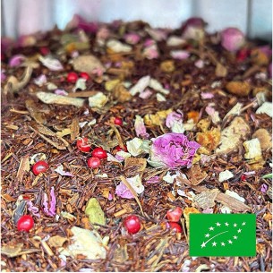 ROOIBOS DE NOEL CERTIFIÉ BIO 2