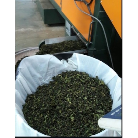 EMERAUDE-  Ruanzhi Oolong
