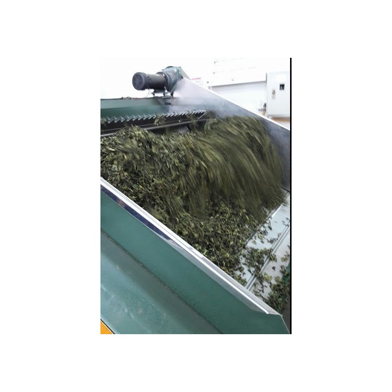 STICKY RICE OOLONG STICKY RICE OOLONG