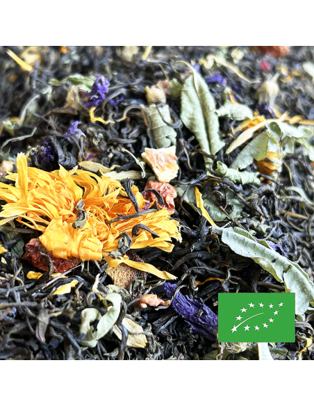 GREEN QUEEN 6 AGRUMES CERTIFIÉ BIO