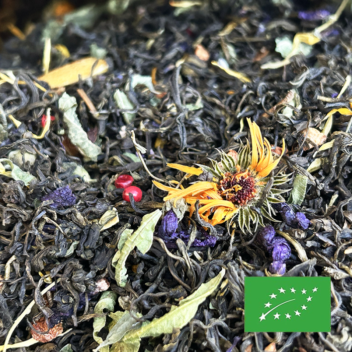 GREEN QUEEN 6 AGRUMES CERTIFIÉ BIO