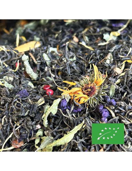 GREEN QUEEN 6 AGRUMES CERTIFIÉ BIO