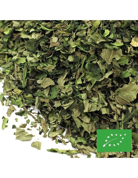 NIPPON MINT CERTIFIÉ BIO