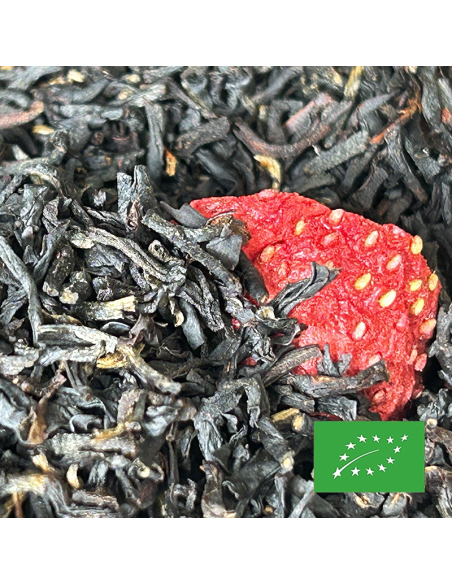 SOUVENIR D'ENFANCE CERTIFIÉ BIO