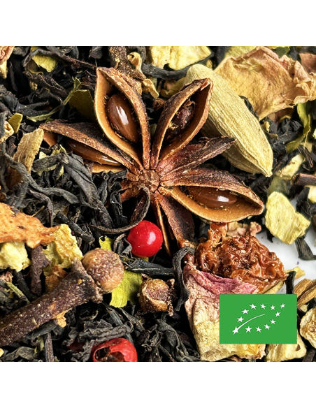 L'ORANGE DE NOËL CERTIFIÉ BIO