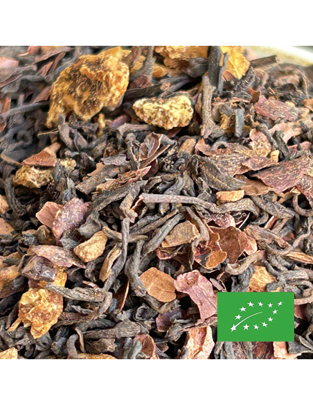 PUER CACAO CERTIFIÉ BIO