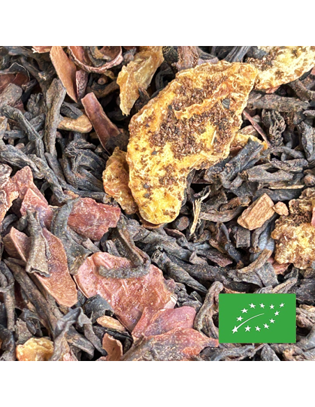 PUER CACAO CERTIFIÉ BIO