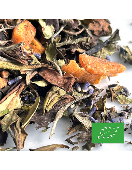 SYMPHONIA CICADAS CERTIFIÉ BIO
