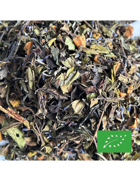 SYMPHONIA CICADAS ORGANIC CERTIFIED
