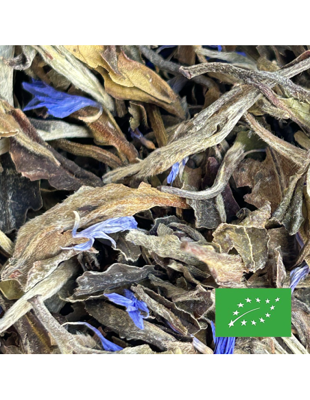 BRUME LUXURIANTE CERTIFIÉ BIO