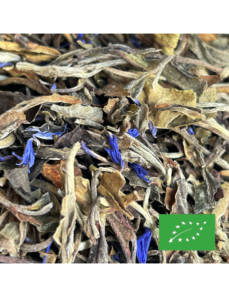 BRUME LUXURIANTE CERTIFIÉ BIO