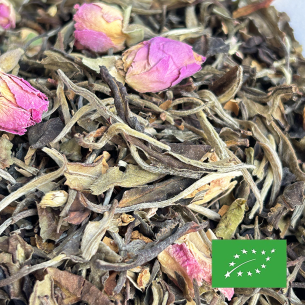 ROSE DES NEIGES CERTIFIÉ BIO 2