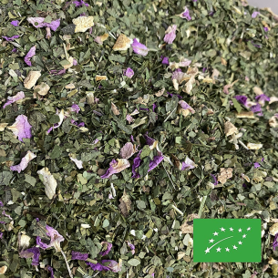 MATE MENTHE CITRON/GINGEMBRE CERTIFIÉ BIO