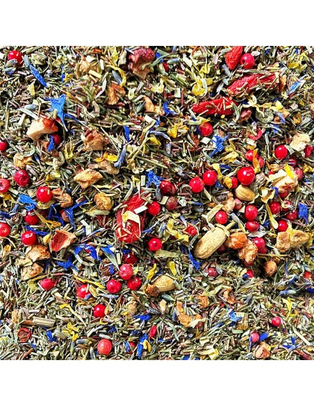 ROOIBOS CRÈME D'ORANGER