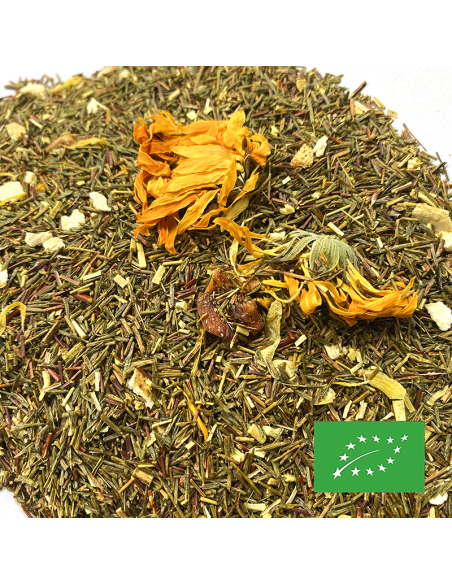 ROOIBOS TANGO MANGO CERTIFIÉ BIO