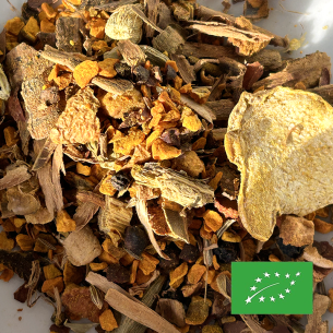 CURCUMA & CO CERTIFIÉ BIO 2