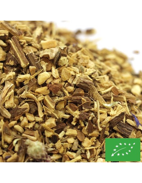 ESPRIT GINGER CERTIFIÉ BIO