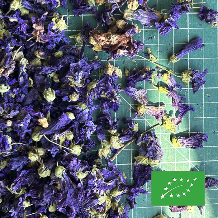 MALLOW FLOWERS ORGANIC CERTIFIED
