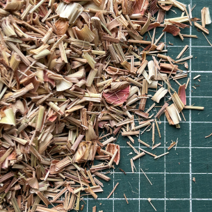 CITRONNELLE THAI 2