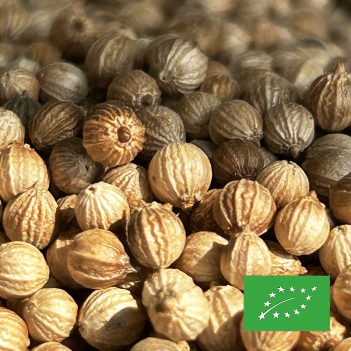 CORIANDER SEEDS ORGANIC CERTIFIED