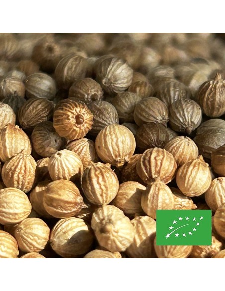 CORIANDER SEEDS ORGANIC CERTIFIED