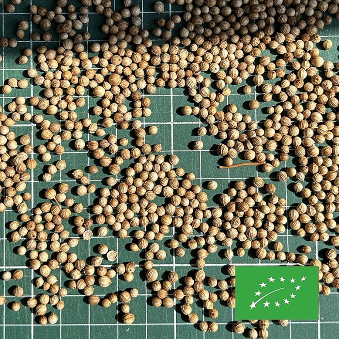 CORIANDER SEEDS ORGANIC CERTIFIED