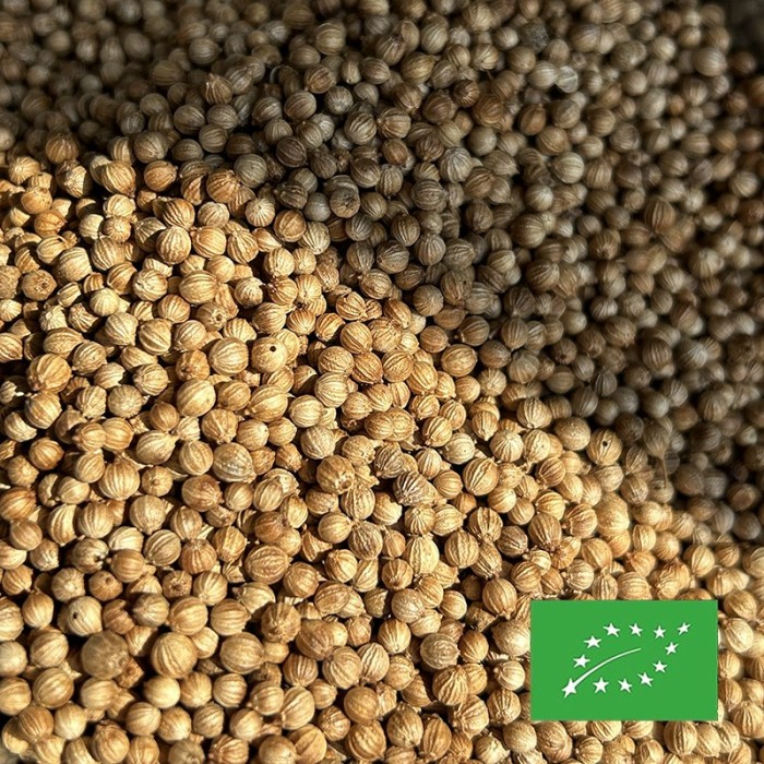 GRAINES DE CORIANDRE CERTIFIÉ BIO
