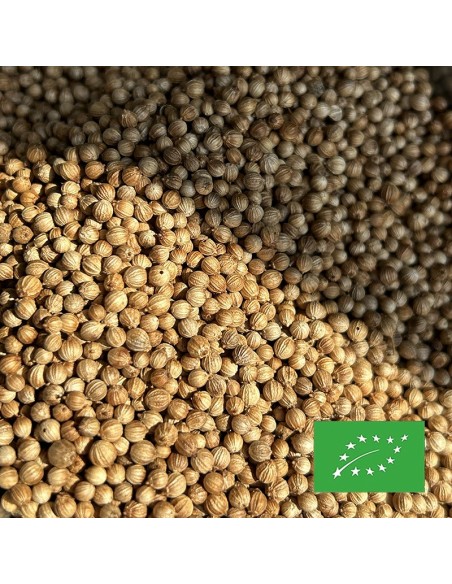 CORIANDER SEEDS ORGANIC CERTIFIED