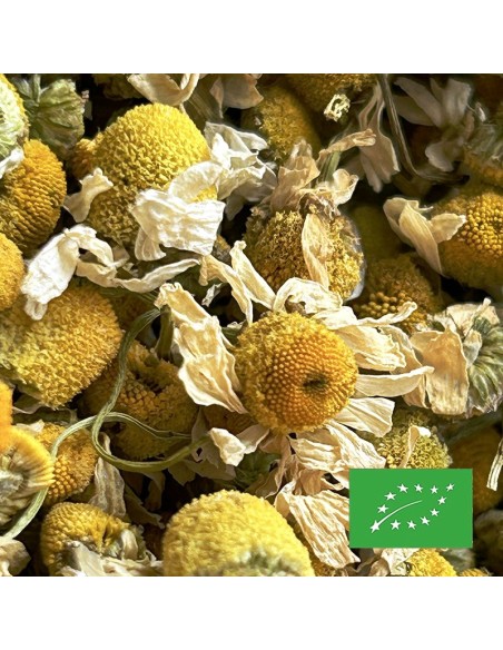 CAMOMILLE MATRICAIRE CERTIFIÉ BIO