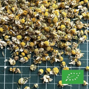 CAMOMILLE MATRICAIRE CERTIFIÉ BIO 2