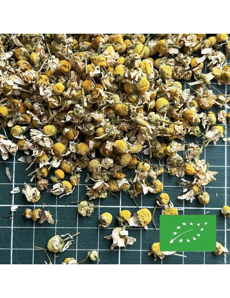 GERMAN CHAMOMILE ORGANIC CERTIFIED