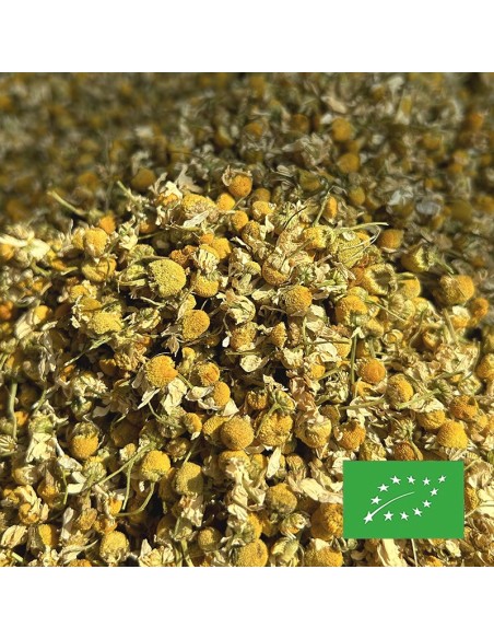 CAMOMILLE MATRICAIRE CERTIFIÉ BIO