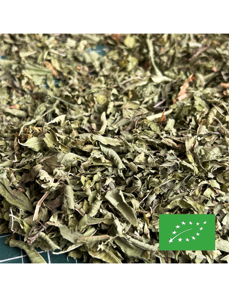 VERVEINE FRANÇAISE COUPÉE CERTIFIÉ BIO
