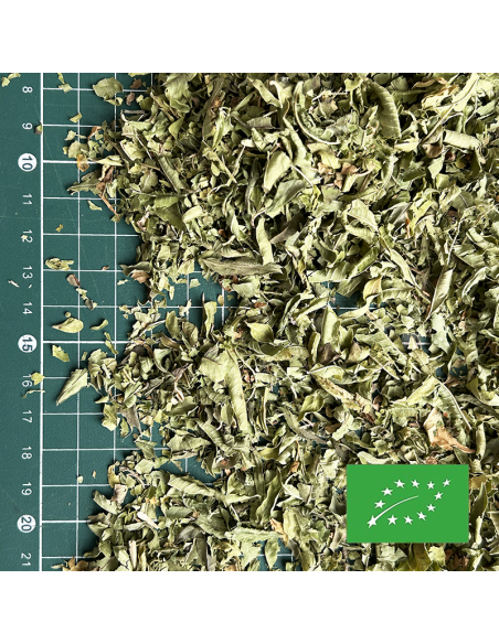 VERVEINE FRANÇAISE COUPÉE CERTIFIÉ BIO
