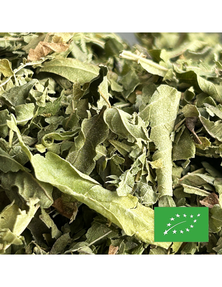 VERVEINE ORGANIC CERTIFIED