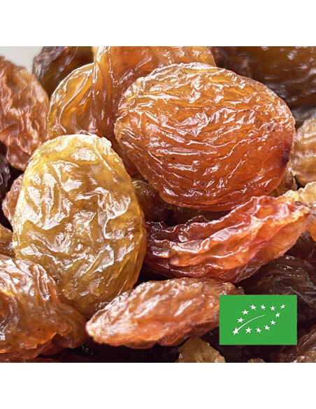 RAISIN CERTIFIÉ BIO